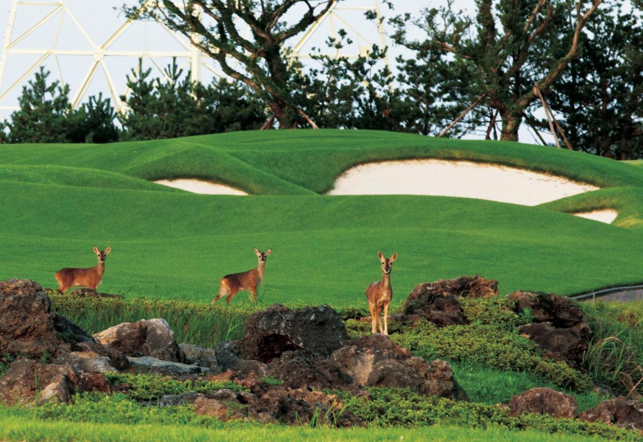 Ardenhill Resort & Golf เมืองเชจู ภายนอก รูปภาพ